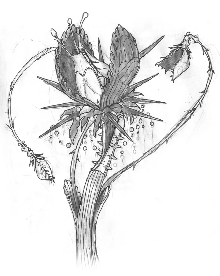 ATIISSU sketch — heart