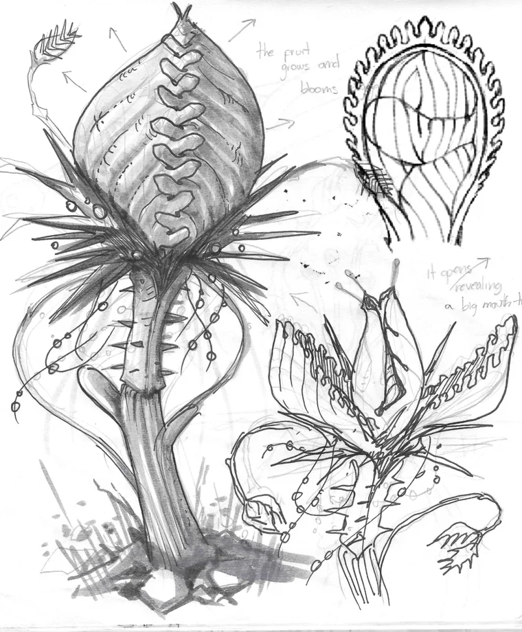 ATIISSU sketch — anatomy